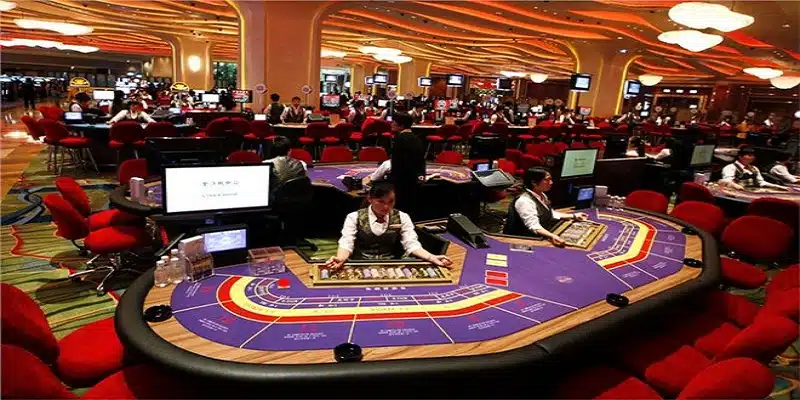 Lưu ý khi chơi casino tại Đà Nẵng